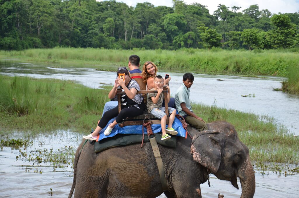 Elephant Safari