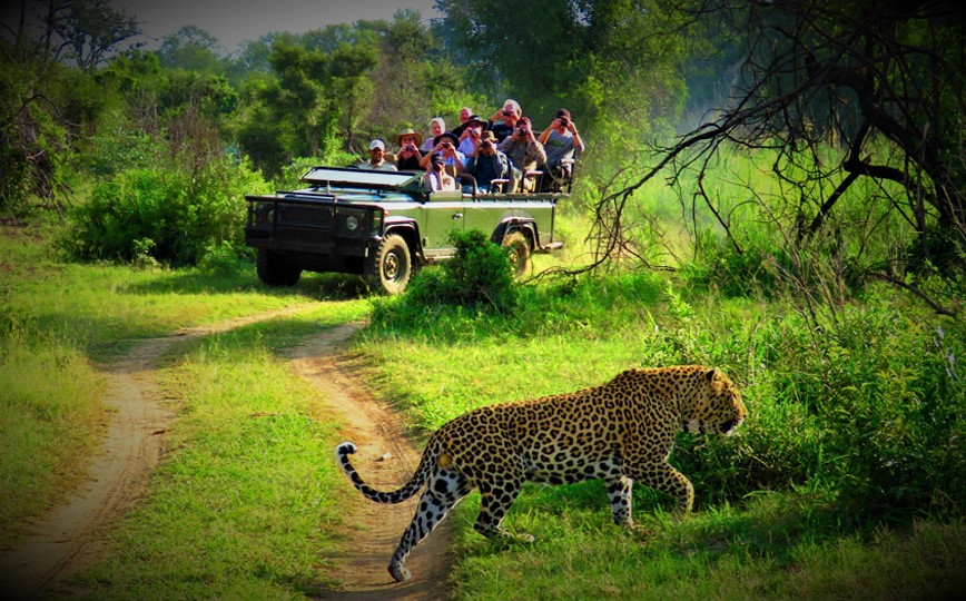 Safari adventure activities at Chitwan National Park 2