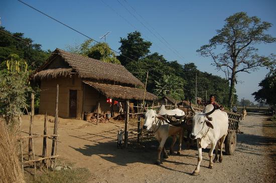 Tharu Village 2